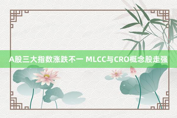 A股三大指数涨跌不一 MLCC与CRO概念股走强