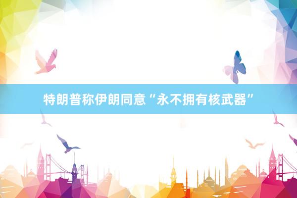 特朗普称伊朗同意“永不拥有核武器”