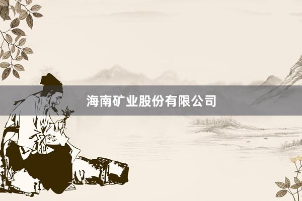 海南矿业股份有限公司