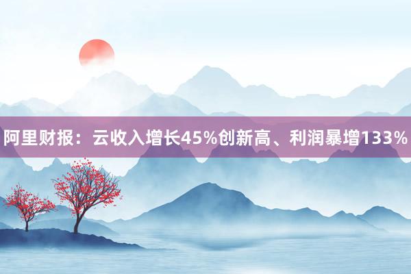 阿里财报：云收入增长45%创新高、利润暴增133%