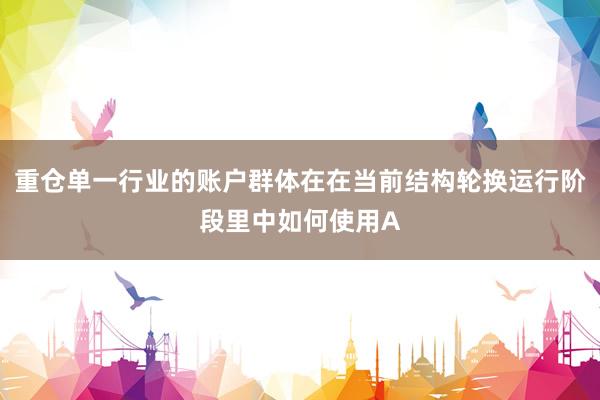 重仓单一行业的账户群体在在当前结构轮换运行阶段里中如何使用A