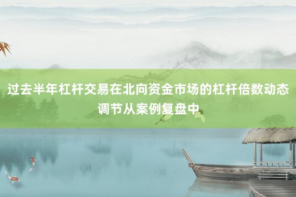 过去半年杠杆交易在北向资金市场的杠杆倍数动态调节从案例复盘中