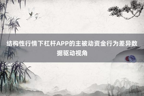 结构性行情下杠杆APP的主被动资金行为差异数据驱动视角