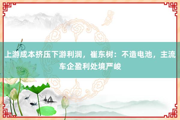 上游成本挤压下游利润，崔东树：不造电池，主流车企盈利处境严峻