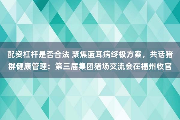配资杠杆是否合法 聚焦蓝耳病终极方案，共话猪群健康管理：第三届集团猪场交流会在福州收官