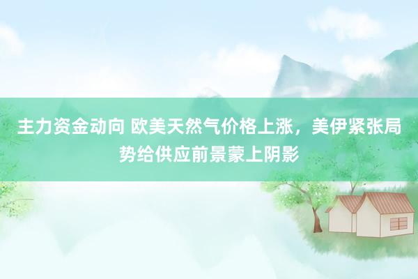 主力资金动向 欧美天然气价格上涨，美伊紧张局势给供应前景蒙上阴影