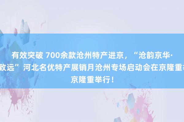 有效突破 700余款沧州特产进京，“沧韵京华·优品致远” 河北名优特产展销月沧州专场启动会在京隆重举行！