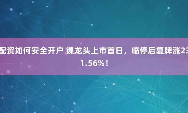 配资如何安全开户 镍龙头上市首日，临停后复牌涨231.56%！