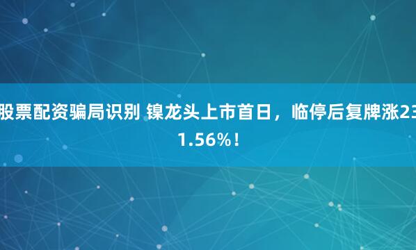 股票配资骗局识别 镍龙头上市首日,临停后复牌涨231.56%!